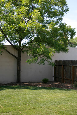 Lush green grass and fresh landscaping in the backyard provide a nice place to relax or visit with other residents.